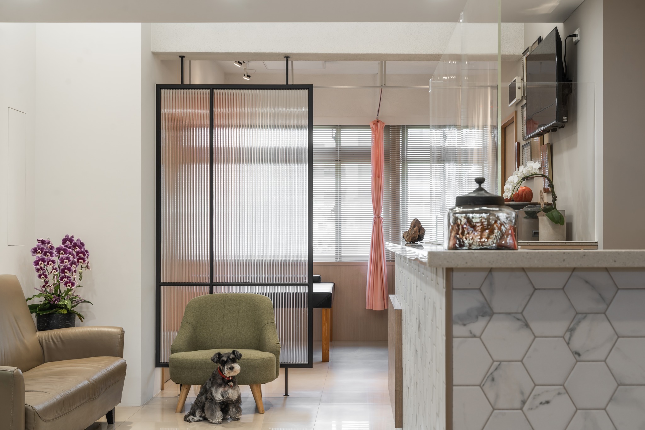 HAE 肌本職 台北 禾儒中醫診所 試用包索取 紫黛修復系列 乾癬 乾癢 異位性皮膚炎 敏感肌 中醫 中藥 保養品 青黛萬用修復霜 青黛高效修復油 青黛膏 三黃精華 三黃收痘乳 抗痘 粉刺 油光 毛孔粗大