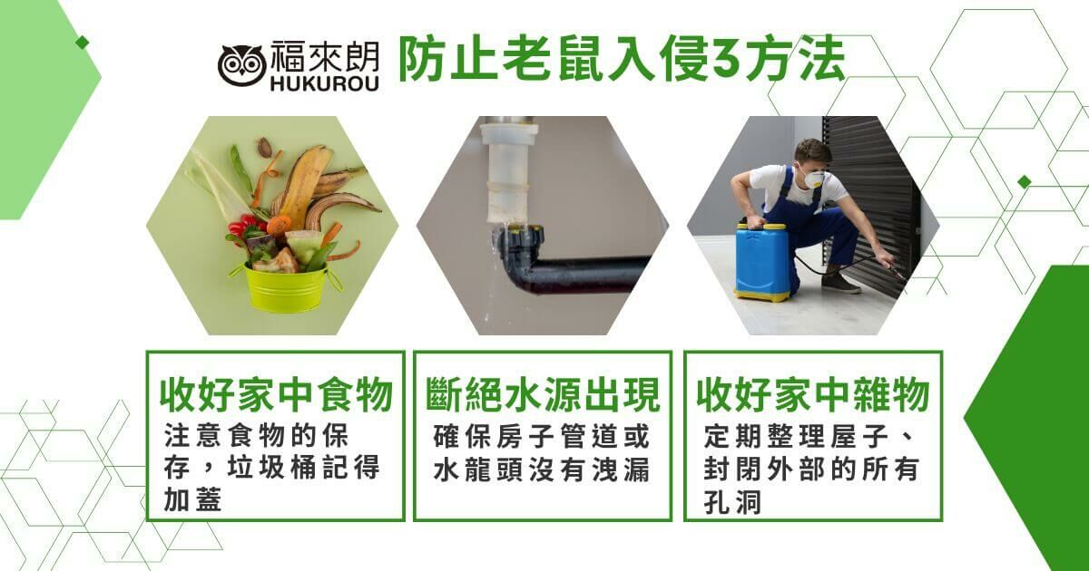 防止老鼠入侵三大方法！