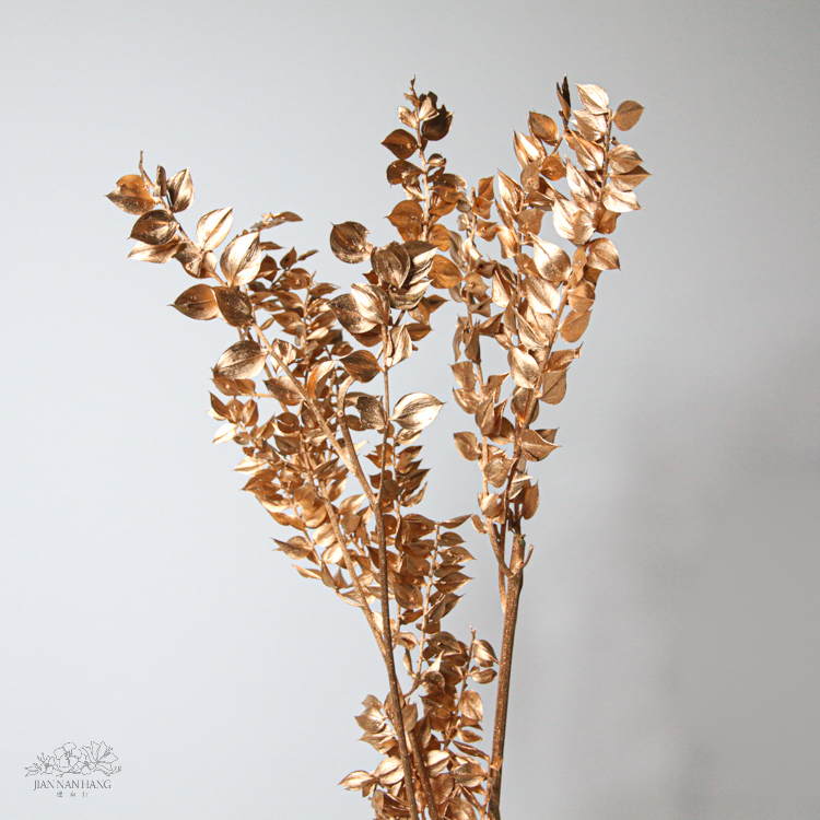 不凋花 富貴葉 金色