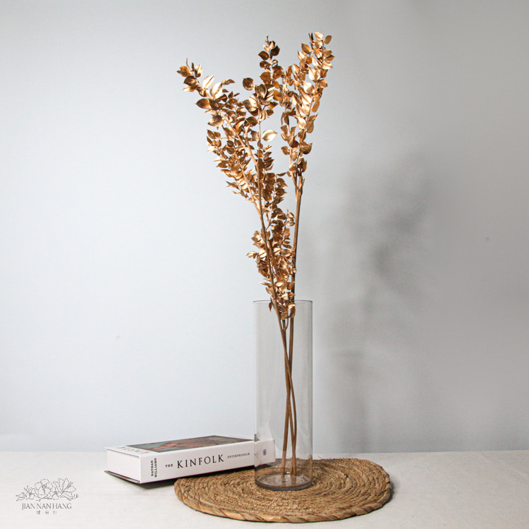 不凋花 富貴葉 金色