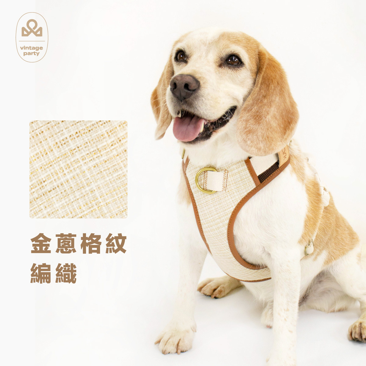 《官網限定》CoolFit 3扣H型胸背帶 復古編織款(送拉繩)