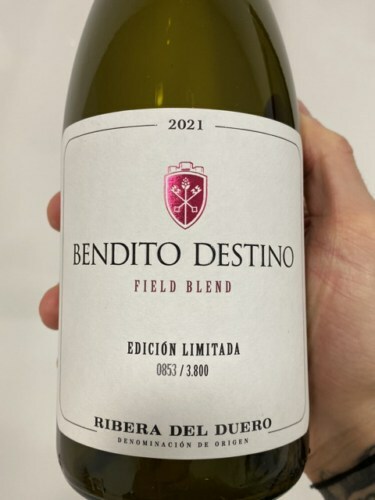 Bendito Destino Field Blend 2022