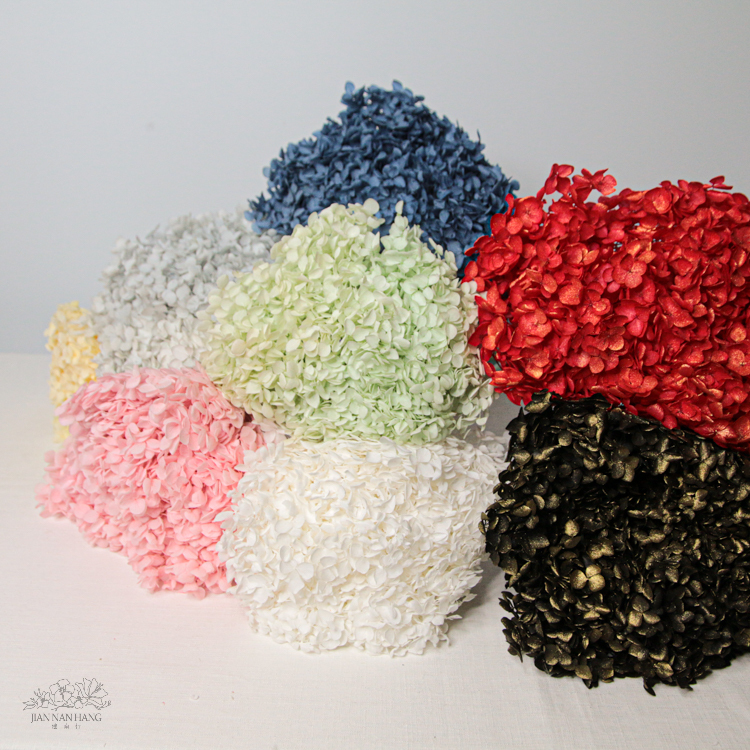 乾燥花 帶桿安娜繡球 12色