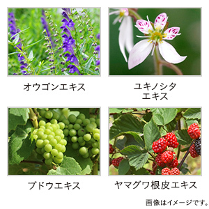 Iroha VIO TREATMENT MILK 85ml