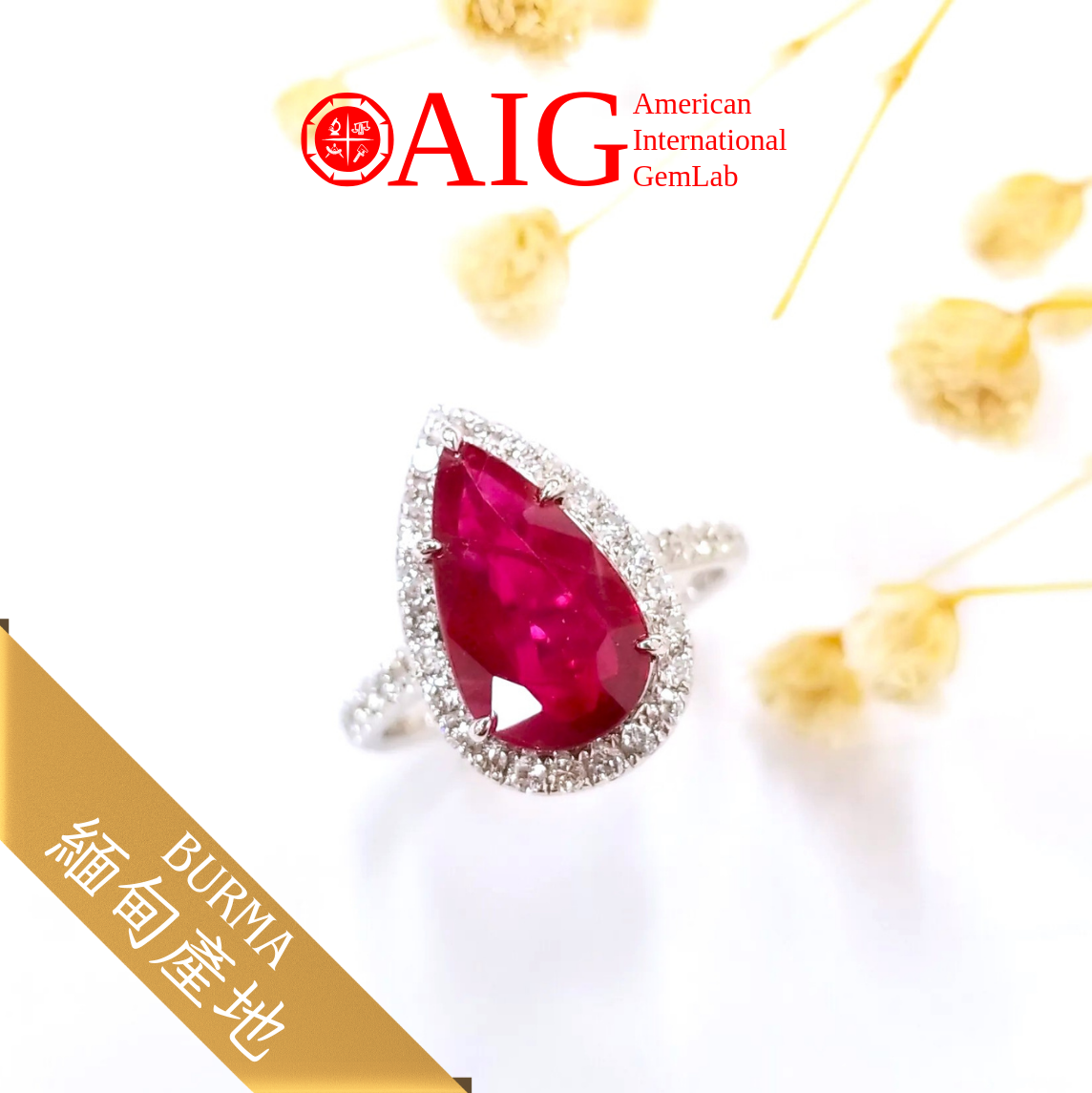 18K White Gold 3.03ct Ruby and Diamond Ring