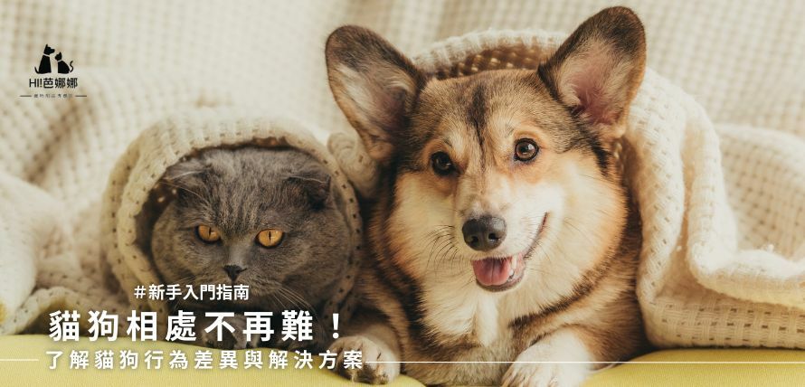 貓狗相處其實很容易