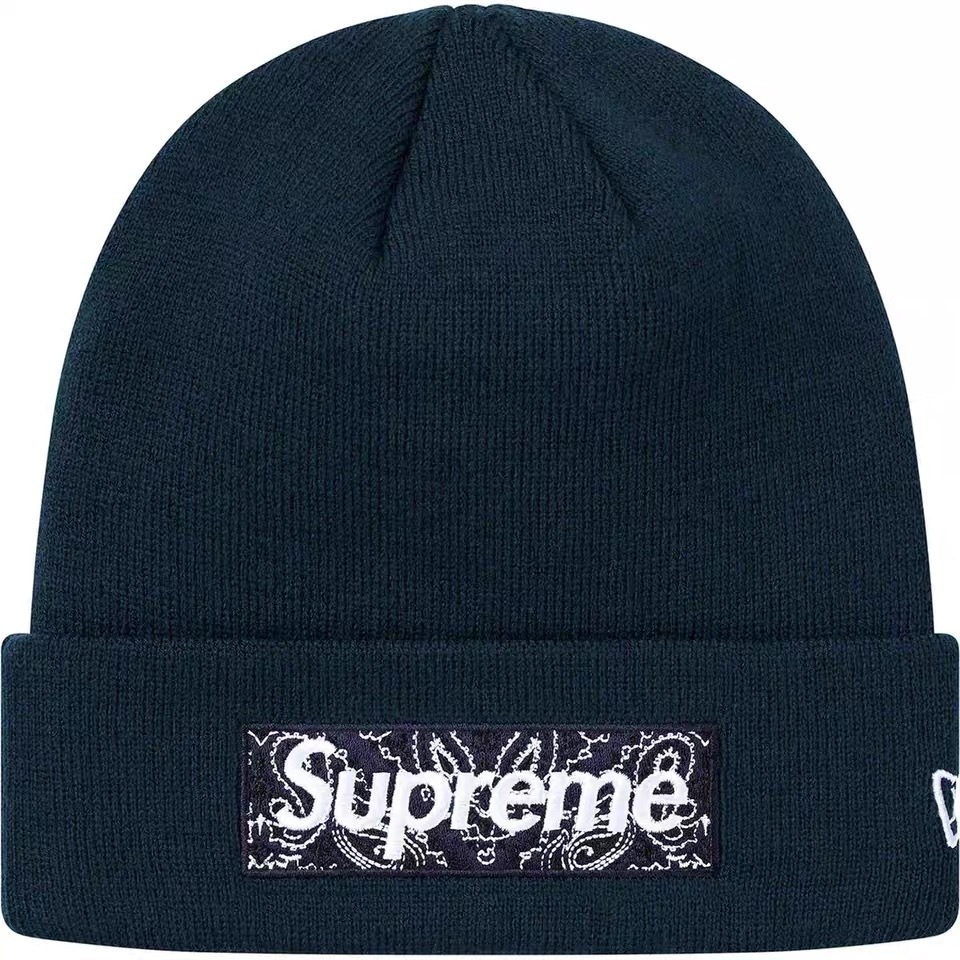 Supreme FW19 Box Logo Beanie 變形蟲毛帽 (7色)