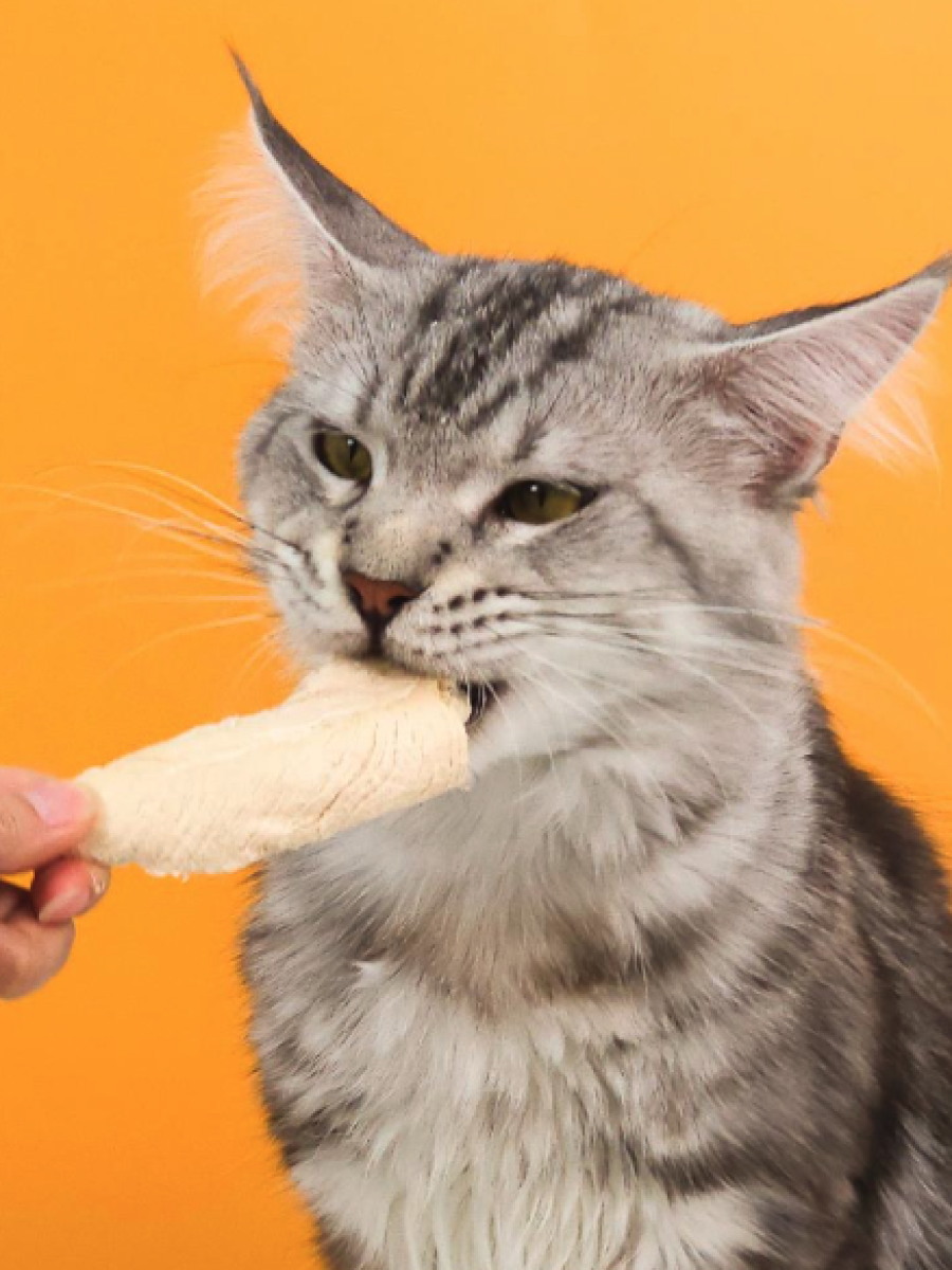 【陪心寵糧】陪心凍味條｜雞柳條凍乾