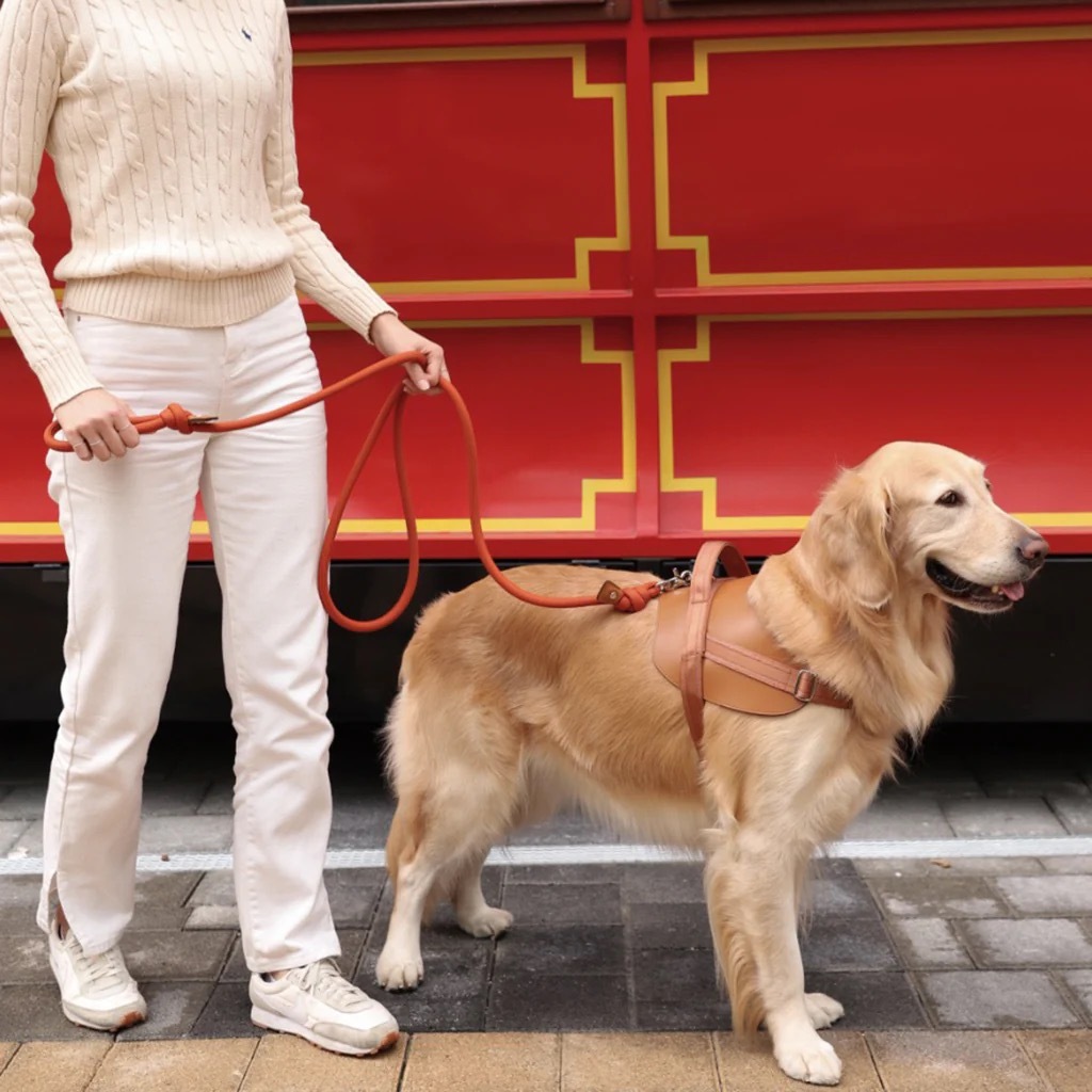 Essential Leash-手持型寵物牽繩