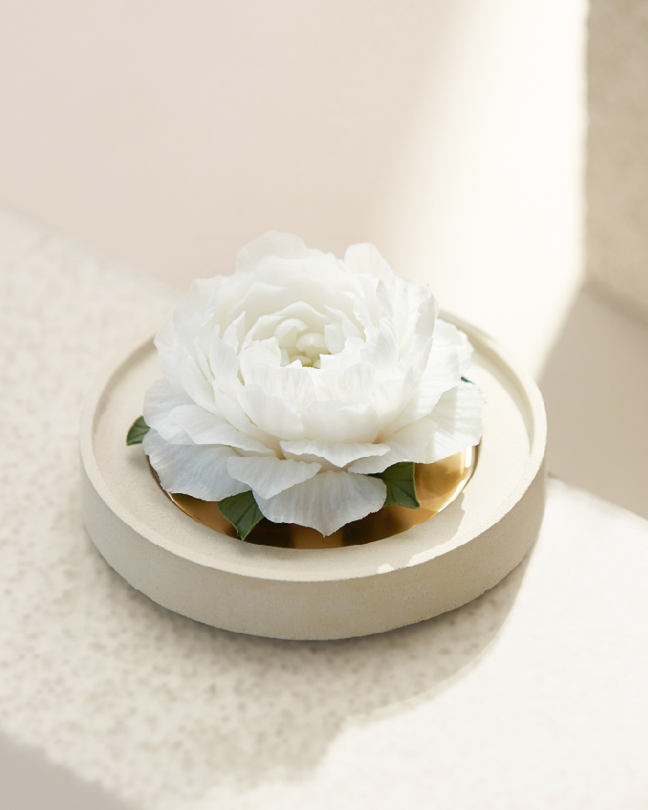 大瓷花系列擴香