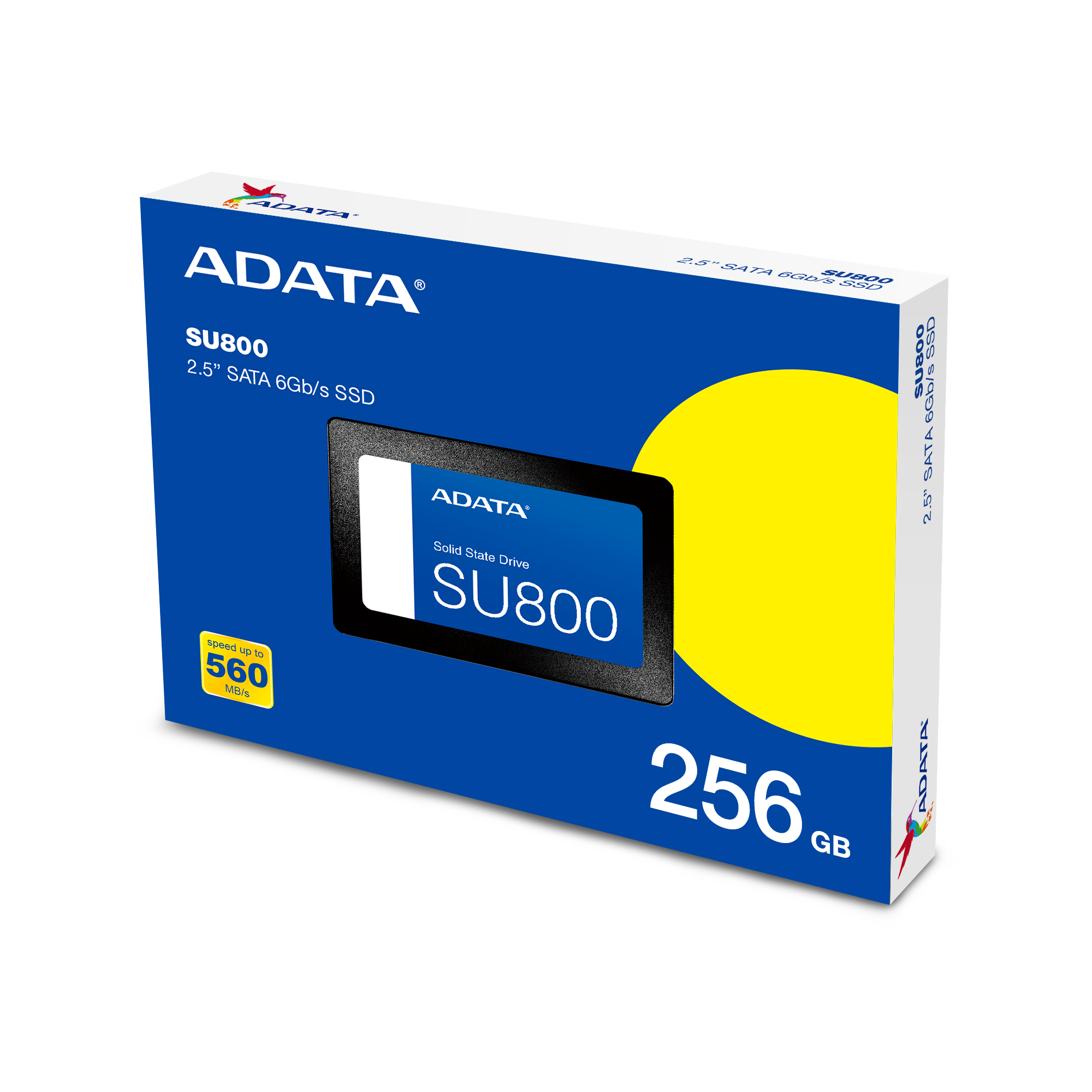 ADATA SU800 2.5