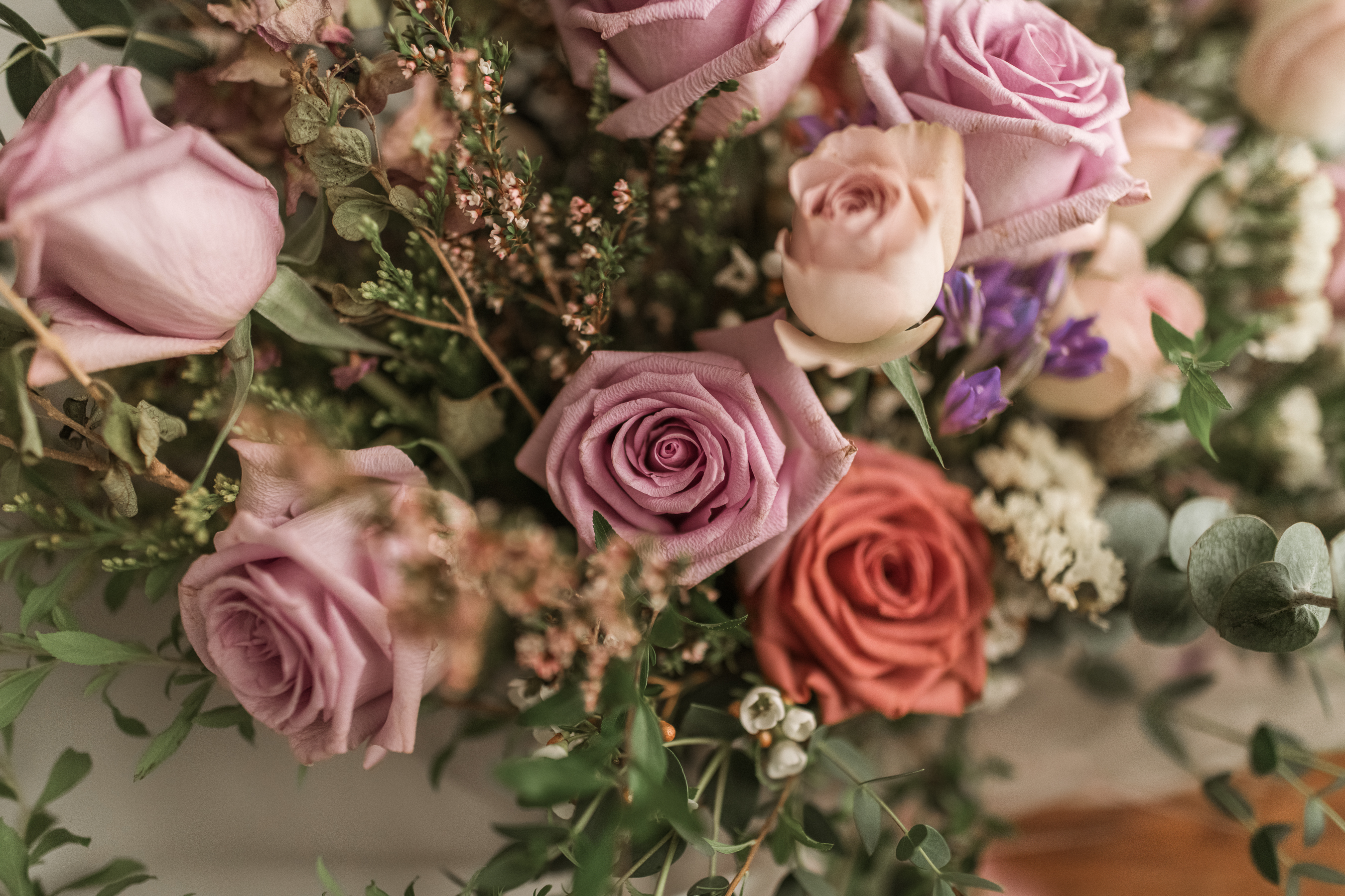 海洋之歌 | 花束