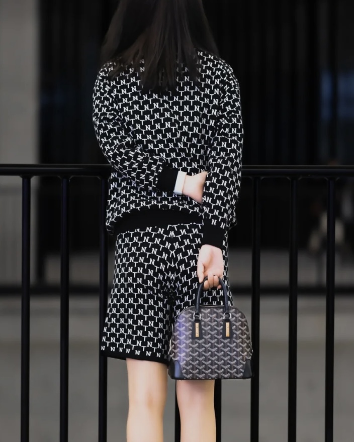 GOYARD Vendôme 迷你手袋