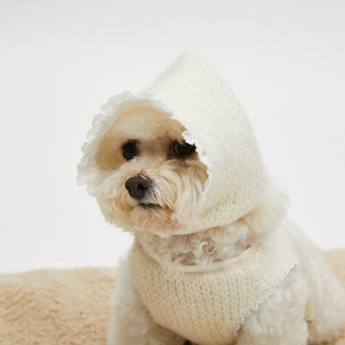 Louisdog 義大利雪白針織帽