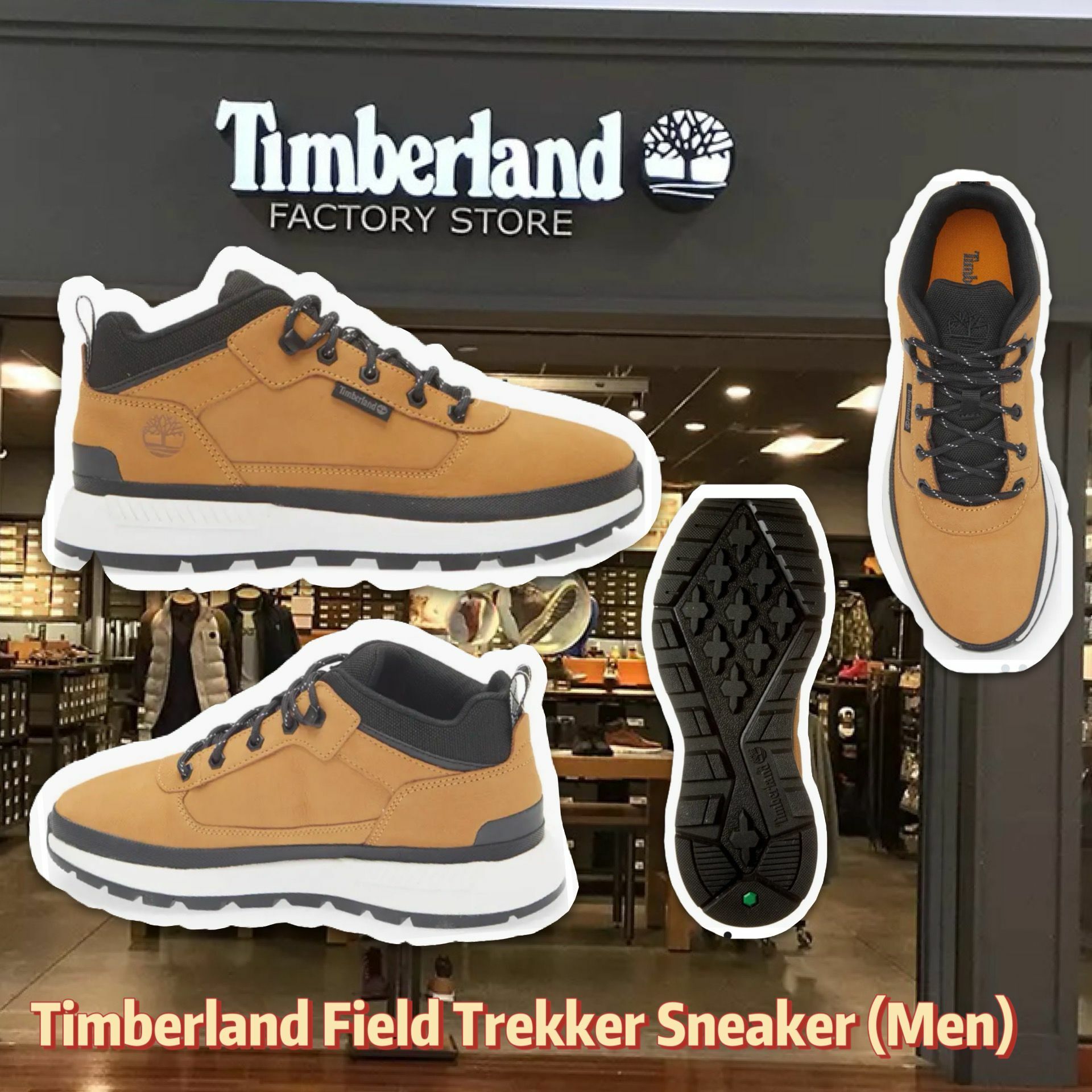 【預購】Timberland Field G122028 男装鞋
