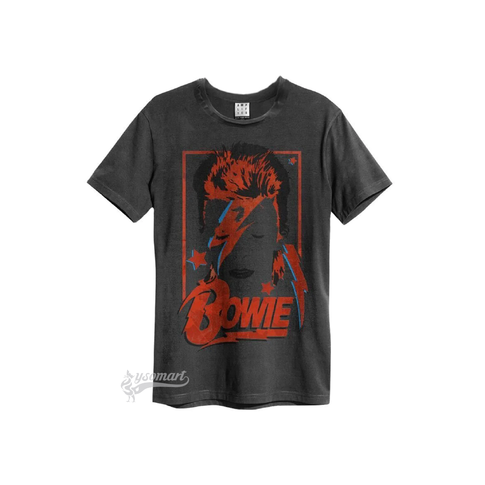 DAVID BOWIE ALADDIN SANE T恤 (XL Size)