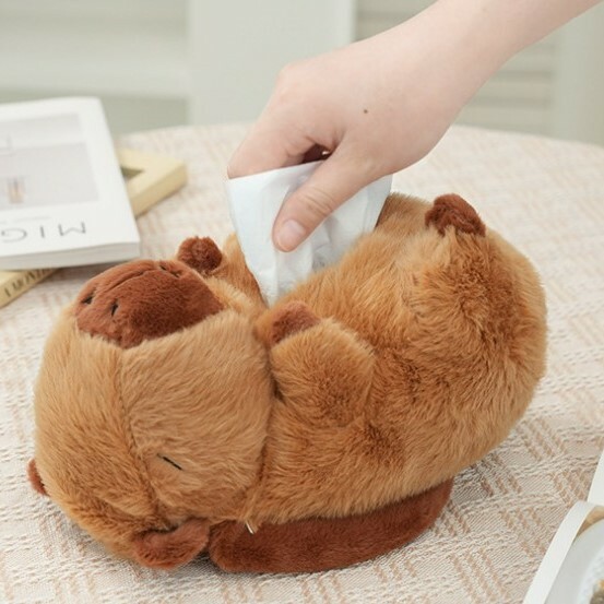 《5430》創意卡皮巴拉可掛式紙巾盒