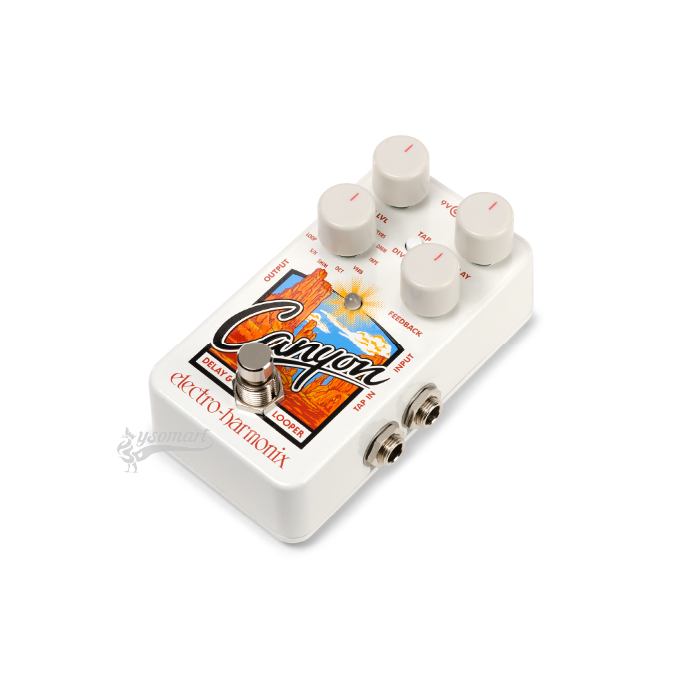 EHX Canyon Delay and Looper 效果器