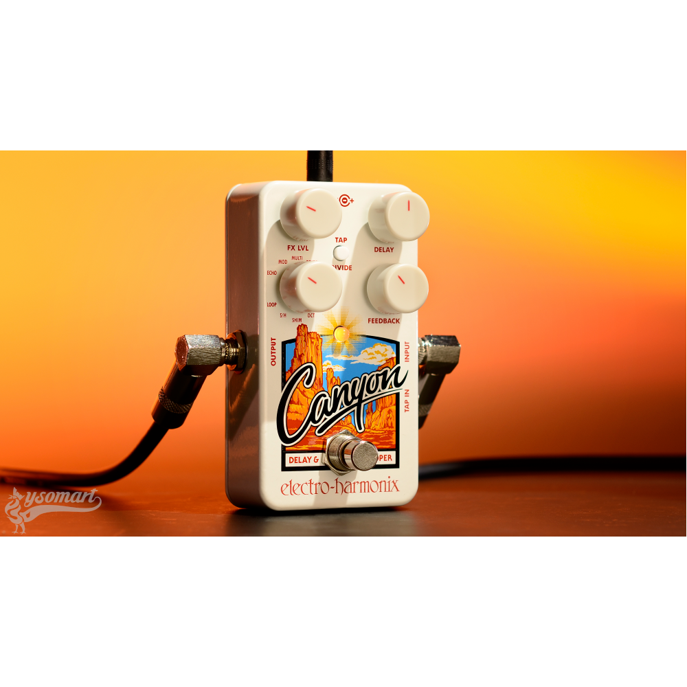 EHX Canyon Delay and Looper 效果器