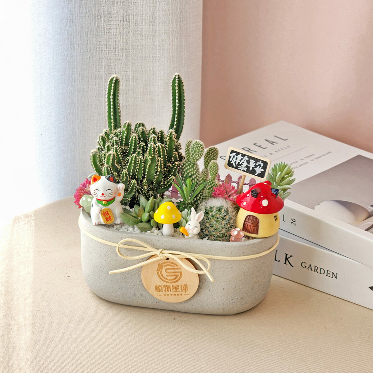 PD96｜仙人掌水泥長盆