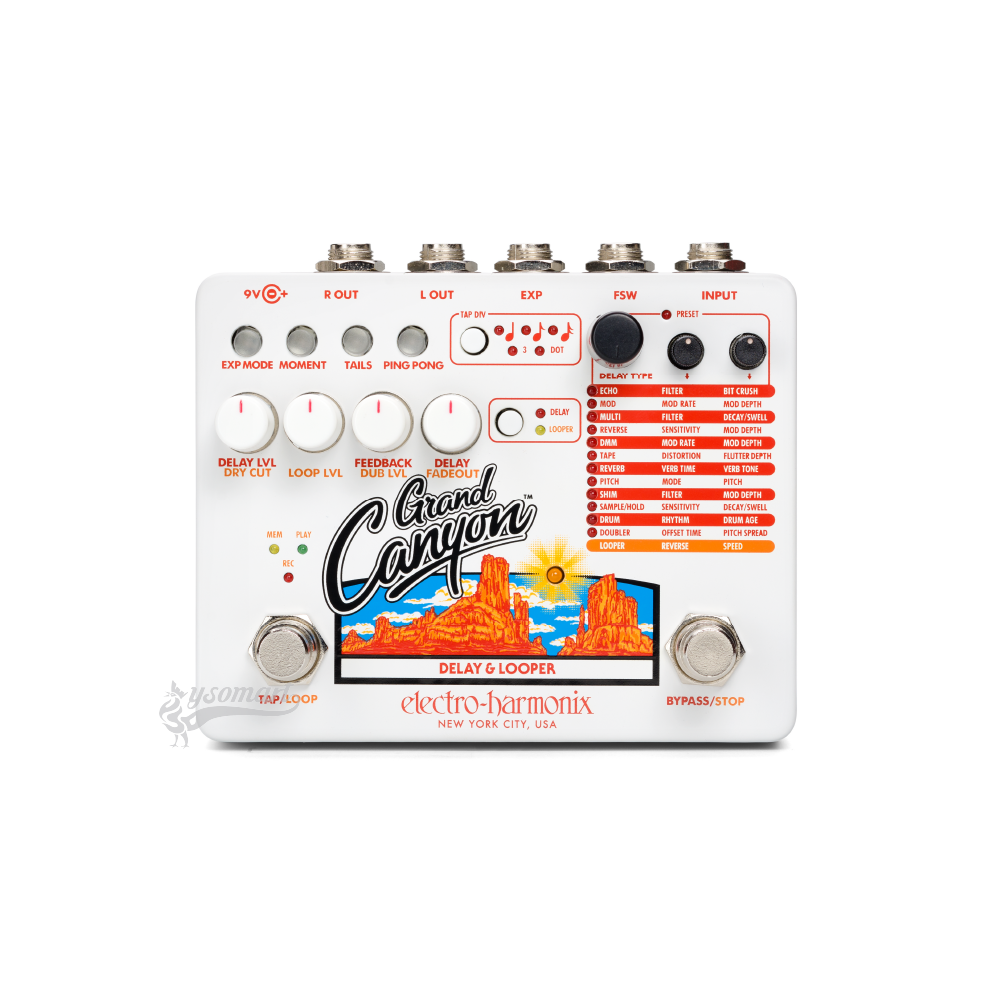 Electro-Harmonix Grand Canyon Delay and Looper 效果器