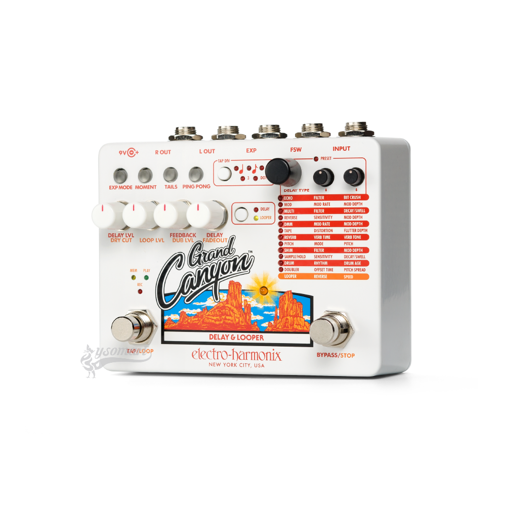 Electro-Harmonix Grand Canyon Delay and Looper 效果器