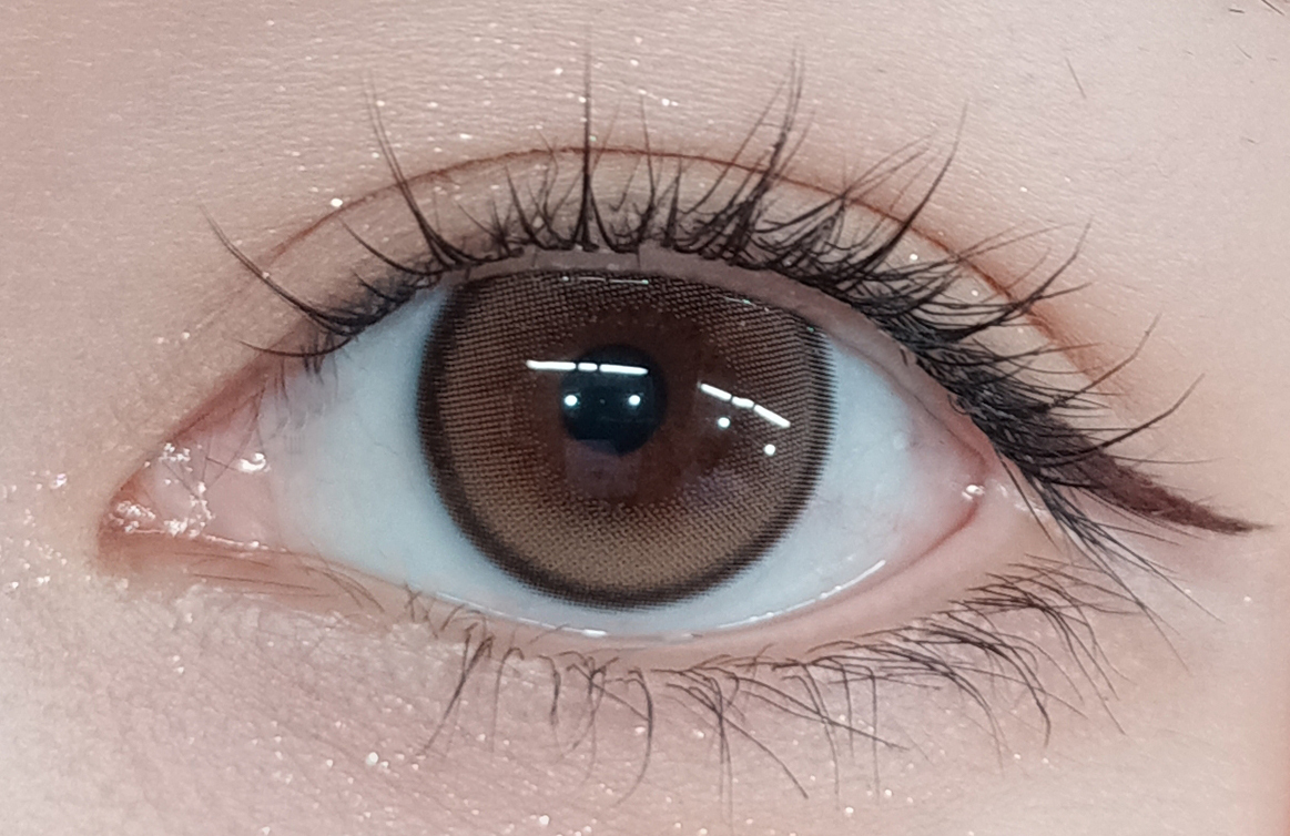 FOMOMY HighLight-BROWN  Color Contact Lenses 日本FOMOMY 每日即棄有色隱形眼鏡(1DAY)