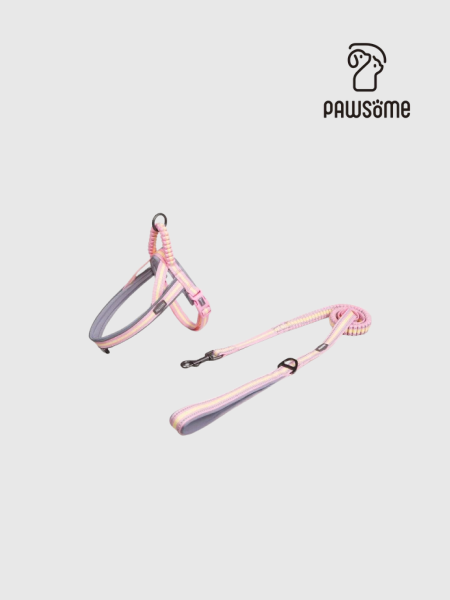 【PAWSOME】夾心系列 速穿馬鞍式胸背牽繫組｜蜜桃布丁