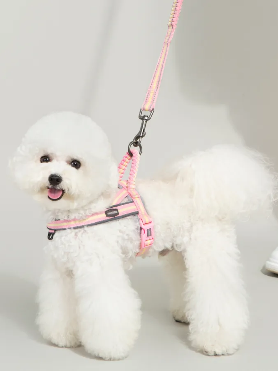 【PAWSOME】夾心系列 速穿馬鞍式胸背牽繫組｜蜜桃布丁