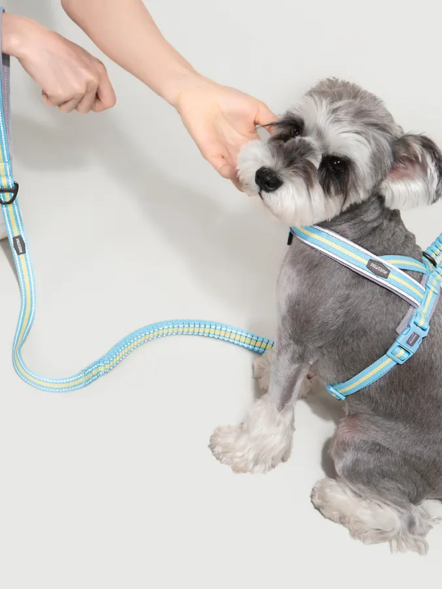 【PAWSOME】夾心系列 速穿馬鞍式胸背牽繫組｜雲朵布丁