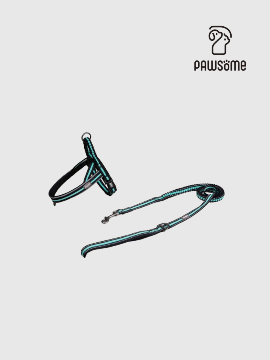 【PAWSOME】夾心系列 速穿馬鞍式胸背牽繫組｜黑巧薄荷