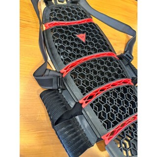 (現貨)德芯騎士部品屋Dainese Pro-Armor 摩托車騎士護背 丹尼斯長版護具