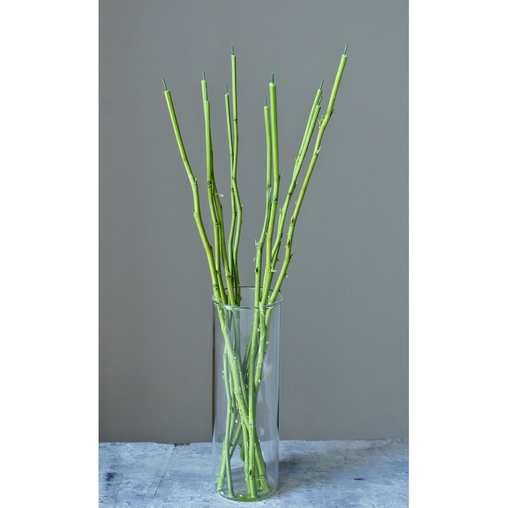 日本不凋自然玫瑰花莖 05850-700