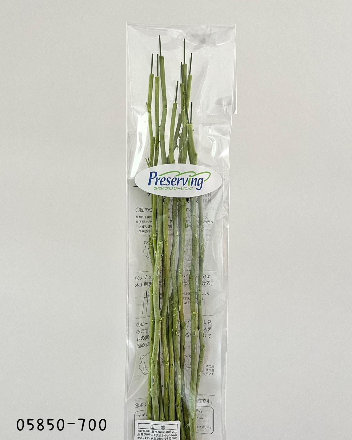 日本不凋自然玫瑰花莖 05850-700