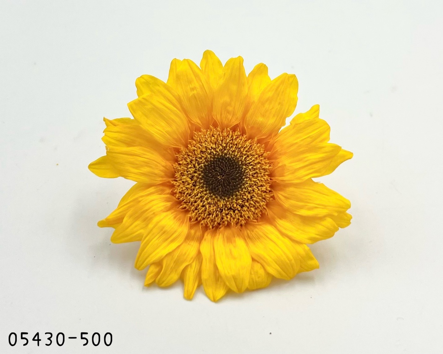 日本不凋向日葵05430-500