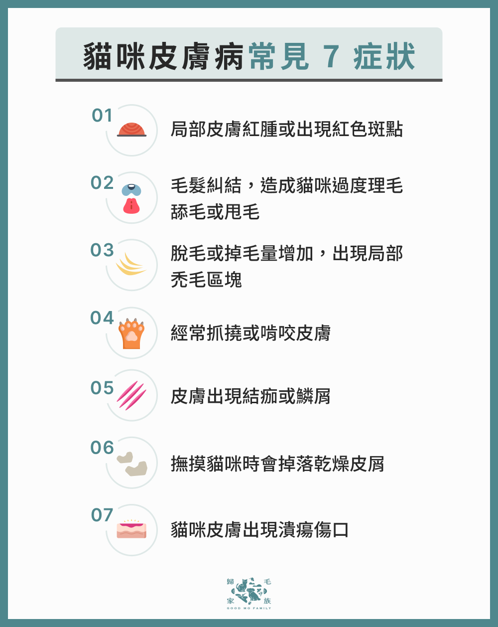 貓咪皮膚病常見 7 症狀