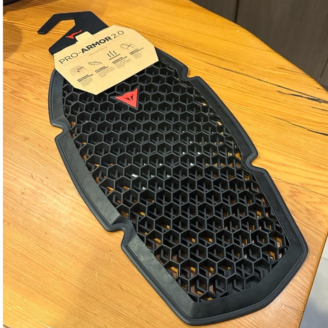 (現貨)德芯騎士部品屋DAINESE PRO-ARMOR G2 軟式 護背 LV2