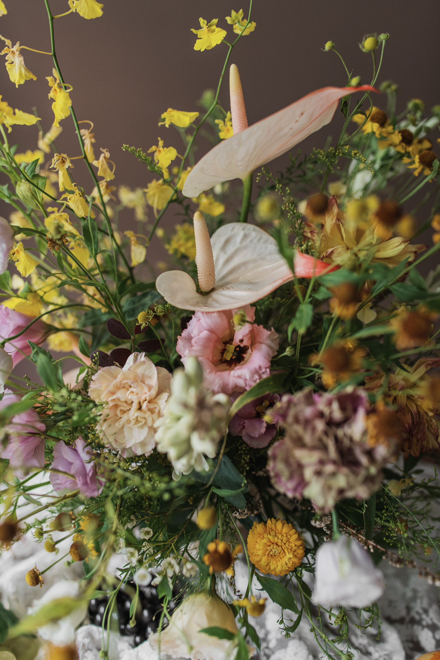 熱帶雨林 | 桌花