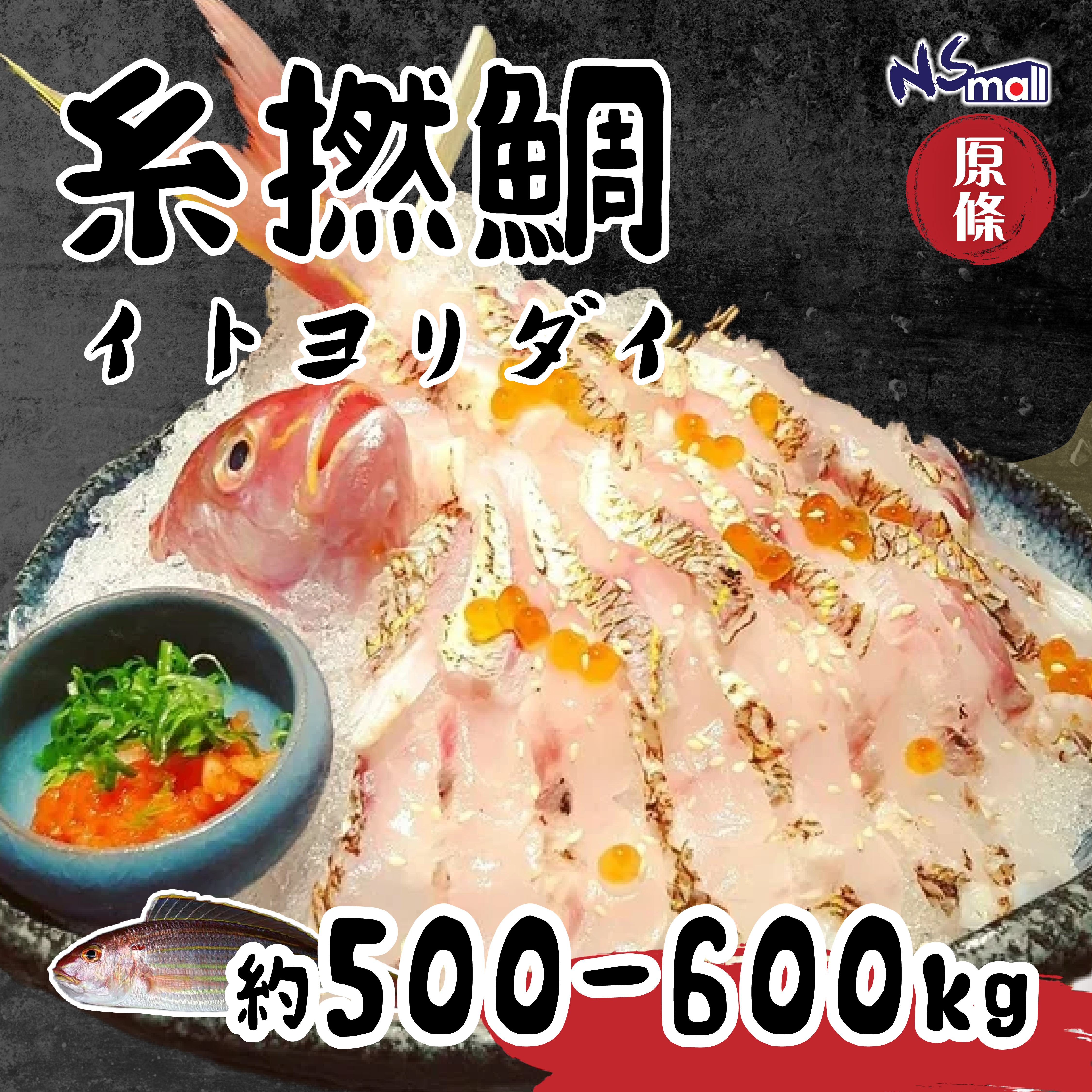 糸撚鯛 約500-600g/條