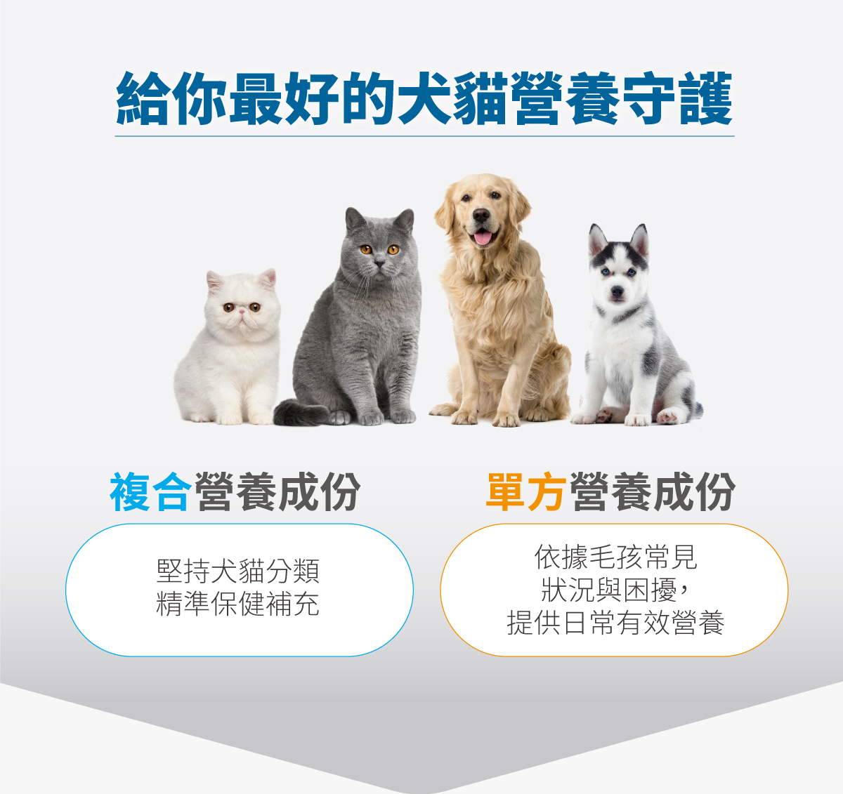 Moreson 木入森 貓犬用魚油粉