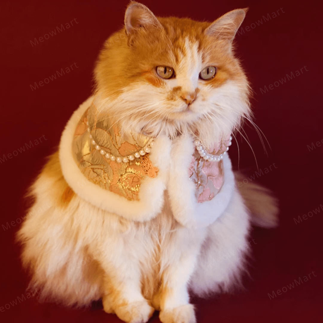 高雅旗袍賀年披肩