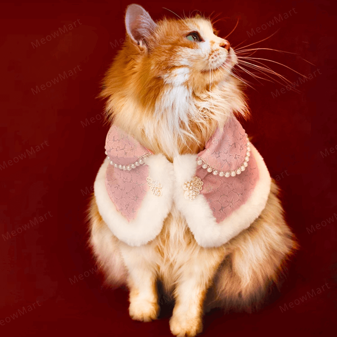 高雅旗袍賀年披肩