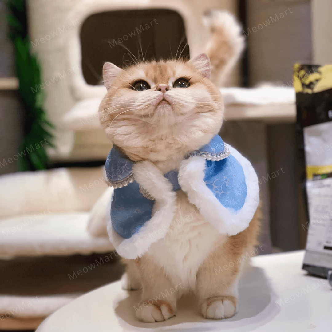 高雅旗袍賀年披肩