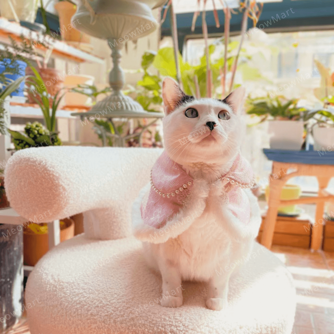 高雅旗袍賀年披肩