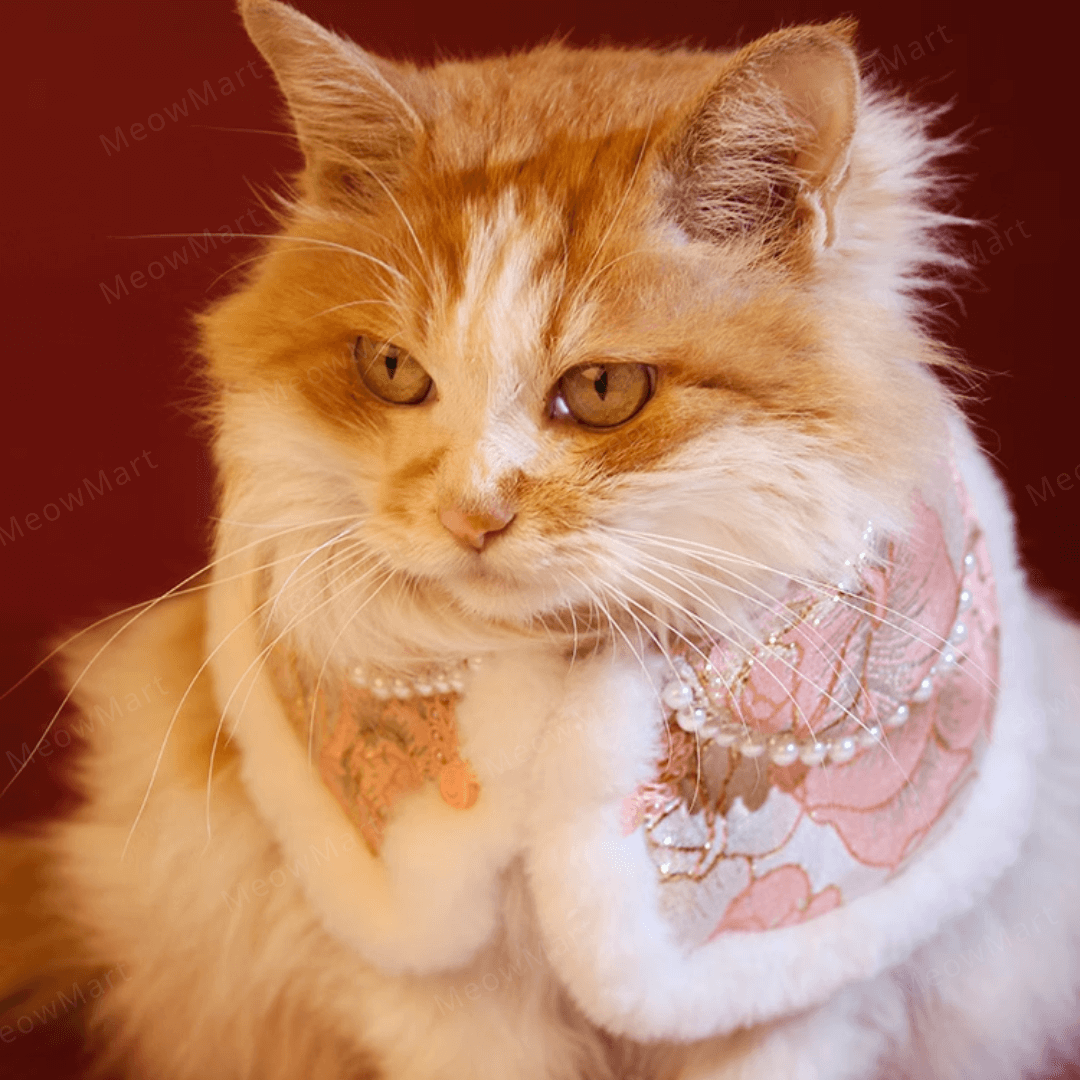 高雅旗袍賀年披肩