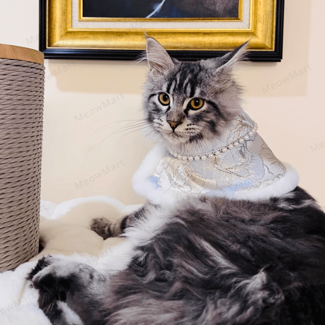 高雅旗袍賀年披肩