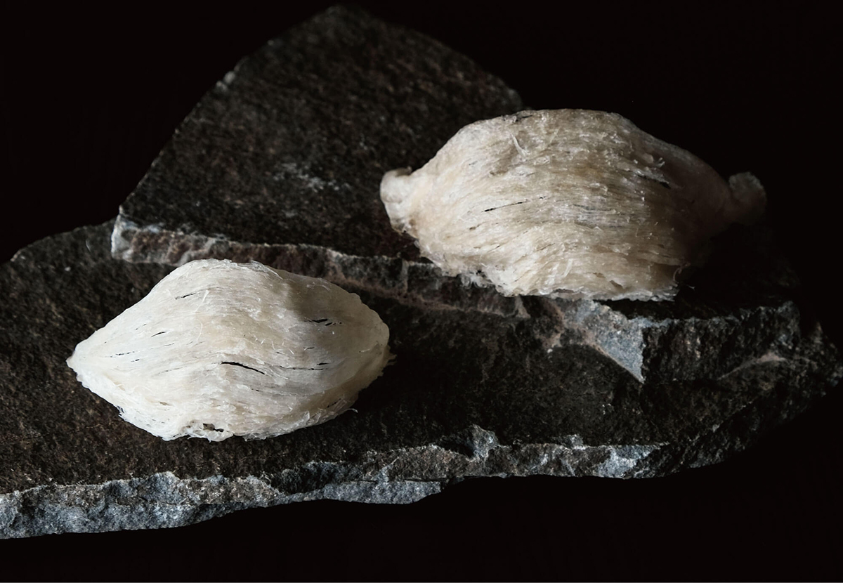 好春燕窩金絲燕盞