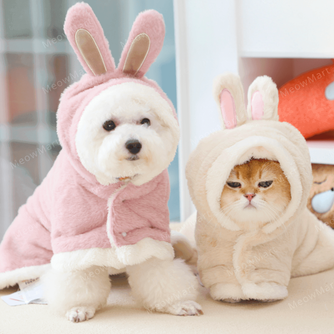 Fukufuku 兔年寵物披風貓披風