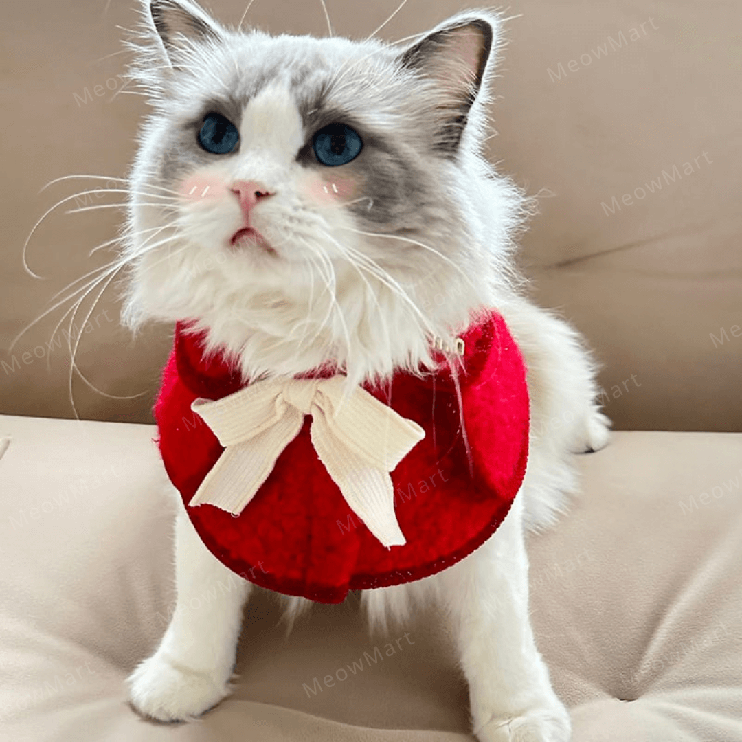 【新品8折】冬日蝴蝶結披肩 (貓狗適用)