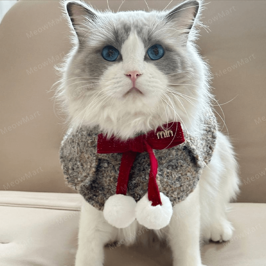 冬日蝴蝶結披肩